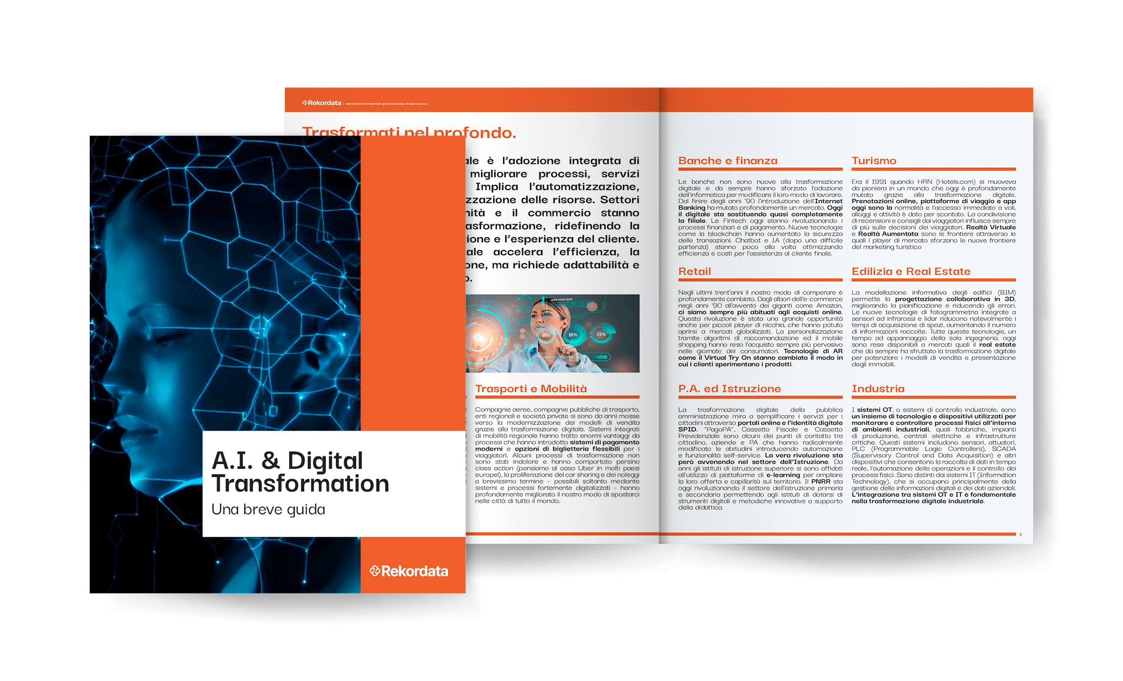 eBook-AI-2
